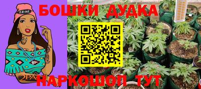 PSILOCYBIN Комсомольск-на-Амуре