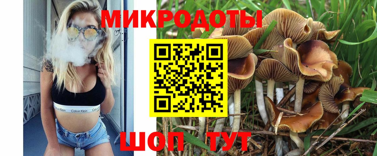 Псилоцибиновые грибы ЛСД Киселёвск