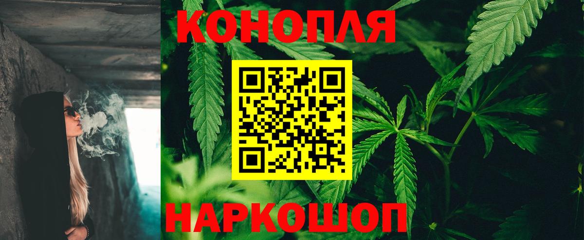 Конопля конопля  МАРИХУАНА индика  Вход с VPN  МАРИХУАНА марихуана  Киселёвск 